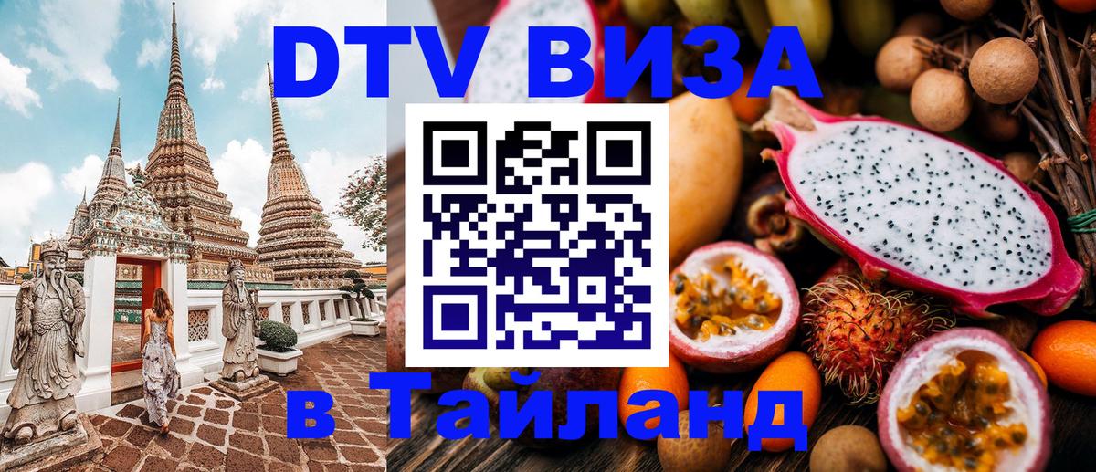 Оформление DTV визы под ключ: стоимость и тарифы, только загранпаспорт - Ставрополь  04.12.2025 